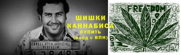 ПСИЛОЦИБИНОВЫЕ ГРИБЫ Алзамай