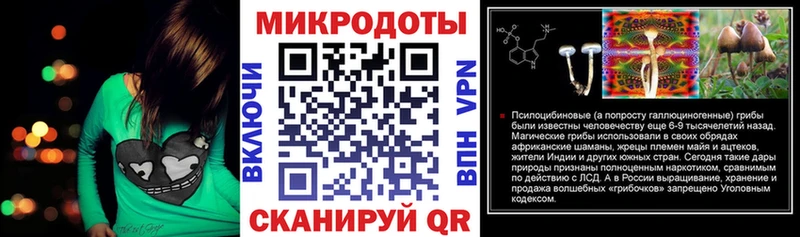 Галлюциногенные грибы Psilocybe Керчь